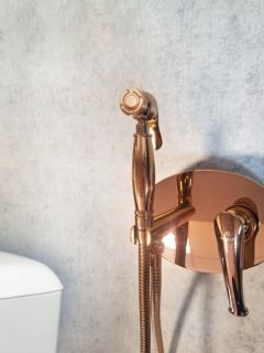 Встраиваемый гигиенический душ AltroBagno Beatrice 060114 ROr